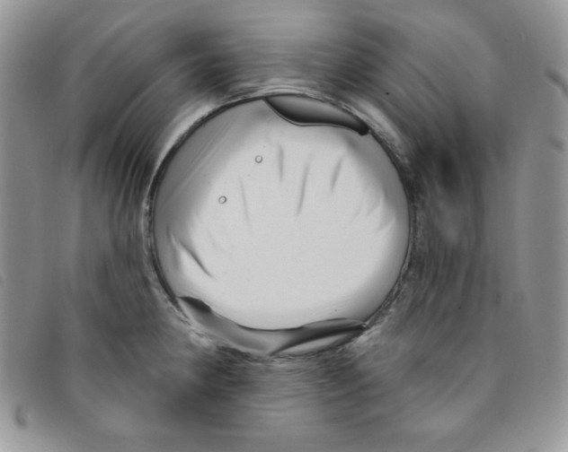 X0000095551190200801111447