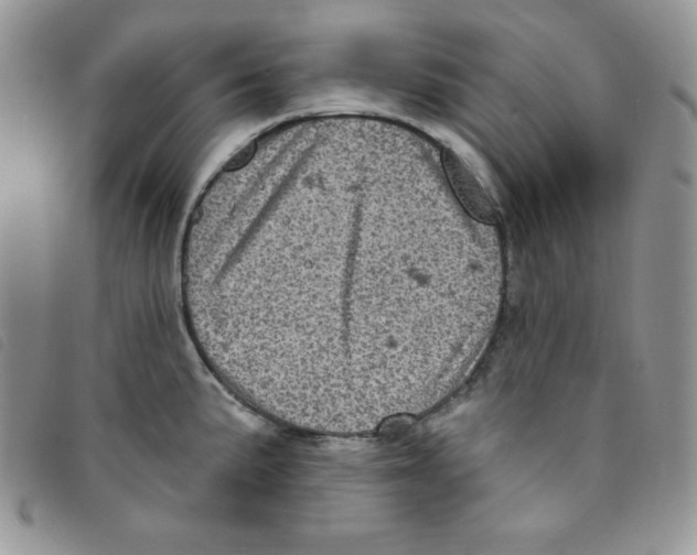 X0000095551191200801111447