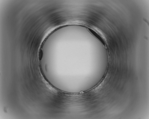 X0000095551192200801111447