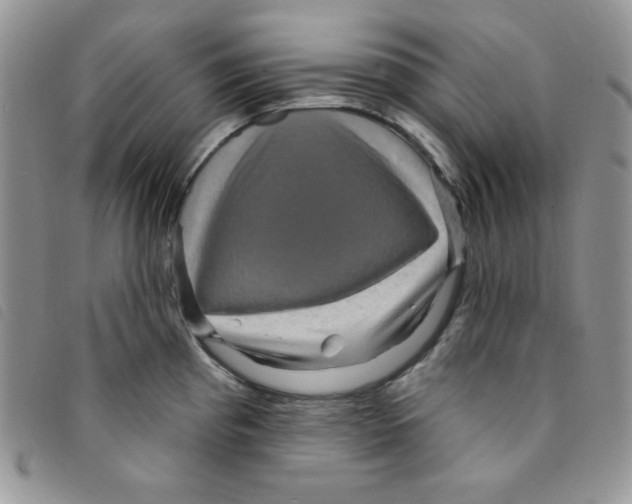 X0000095551193200801111447