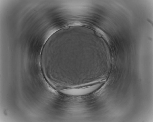 X0000095551194200801111447