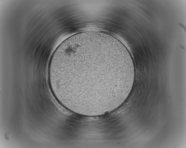 X0000095551195200801111447