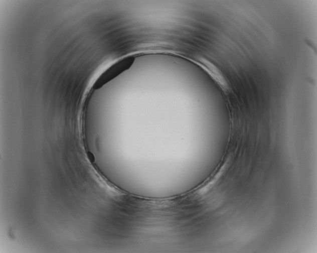 X0000095551196200801111447