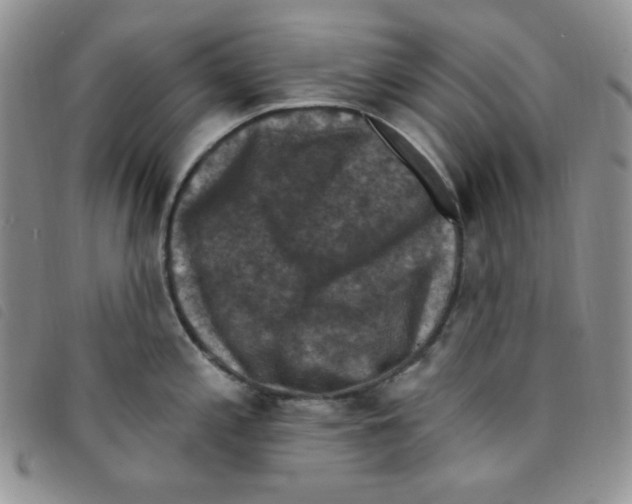 X0000095551197200801111447