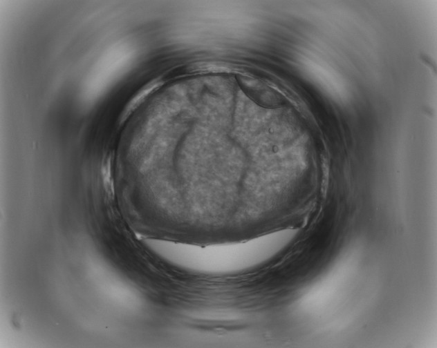 X0000095551198200801111447