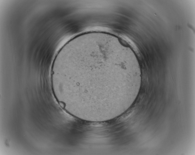 X0000095551199200801111447