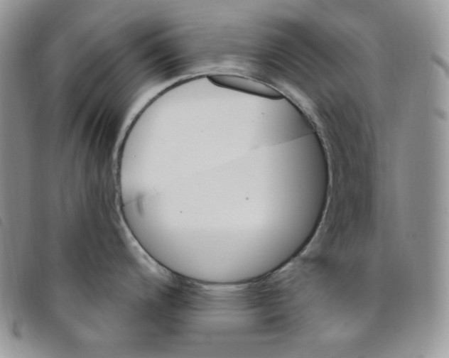 X0000095551200200801111447