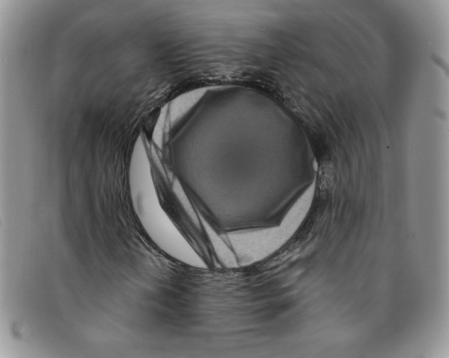 X0000095551202200801111446