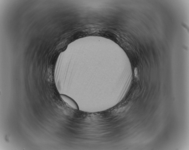 X0000095551203200801111446