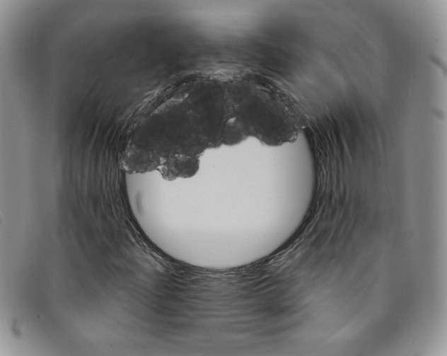 X0000095551204200801111446