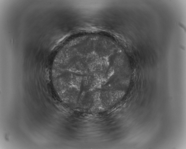 X0000095551205200801111446