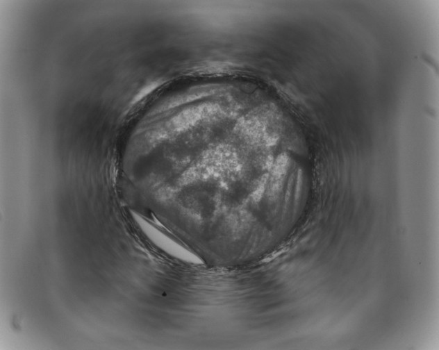 X0000095551206200801111446