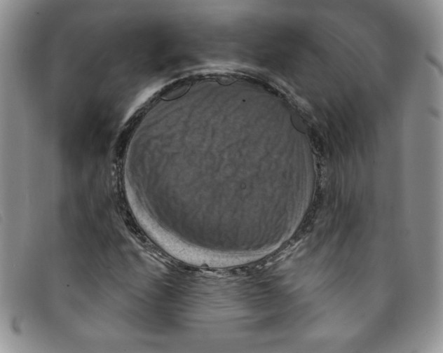 X0000095551208200801111446