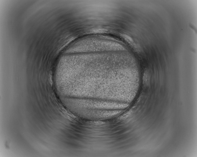 X0000095551209200801111446