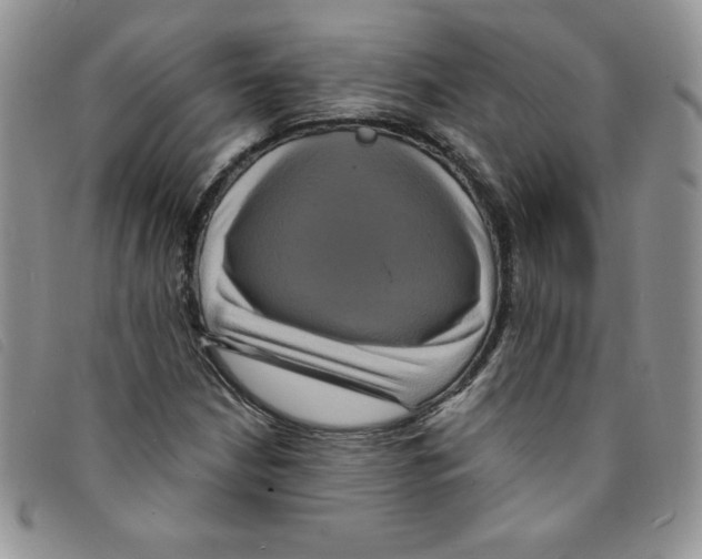 X0000095551210200801111446