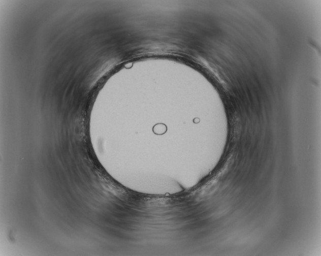 X0000095551211200801111446