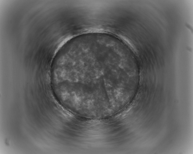 X0000095551212200801111446