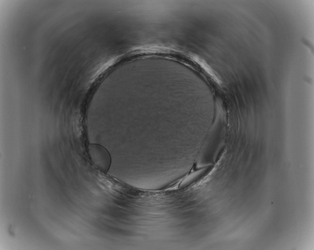 X0000095551213200801111446