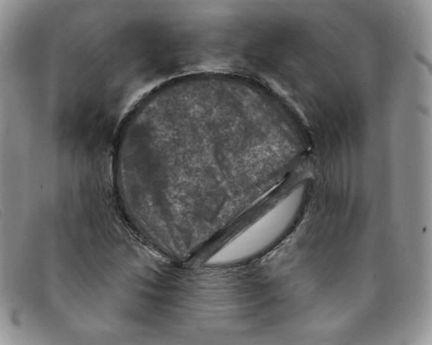 X0000095551214200801111446