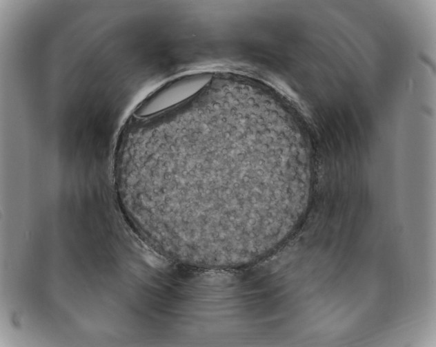 X0000095551216200801111446