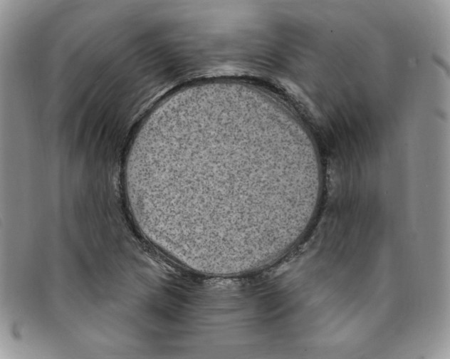 X0000095551217200801111446