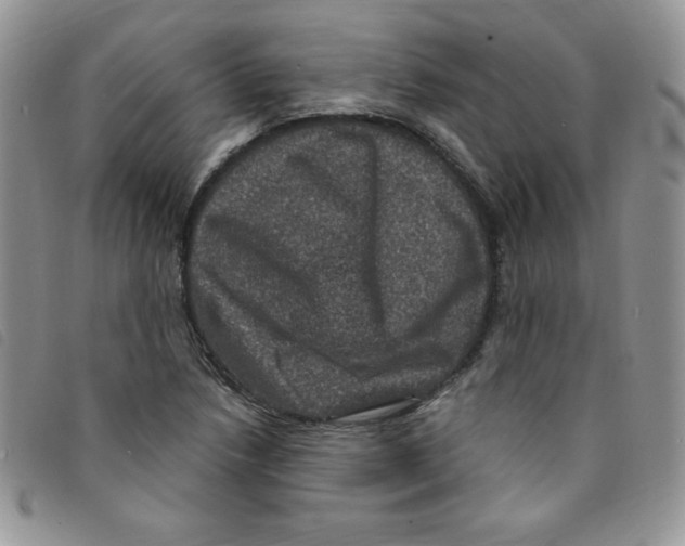 X0000095551218200801111446