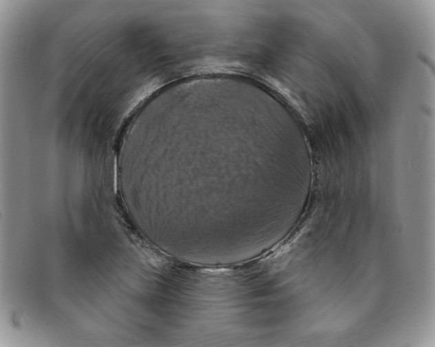 X0000095551219200801111446