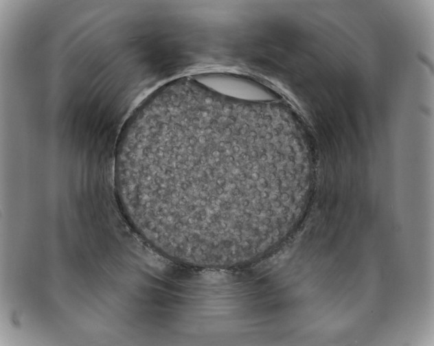 X0000095551220200801111446