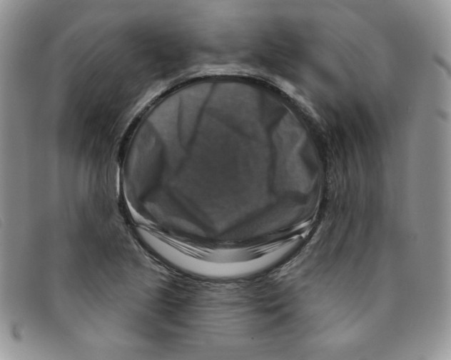 X0000095551221200801111446