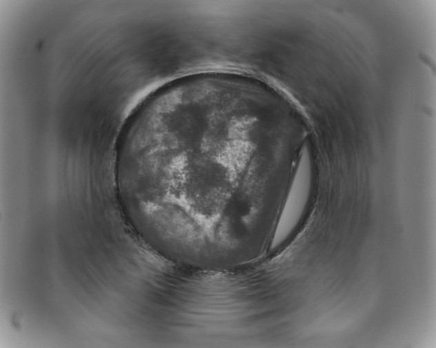 X0000095551222200801111446