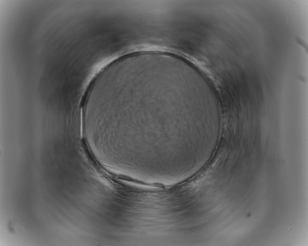 X0000095551223200801111446