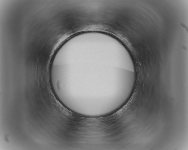 X0000095551224200801111446