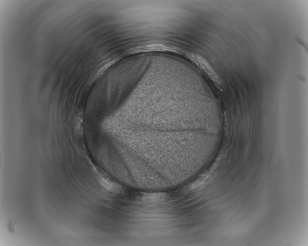 X0000095551225200801111446