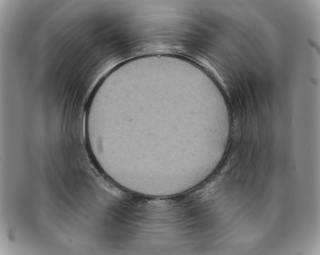 X0000095551227200801111446