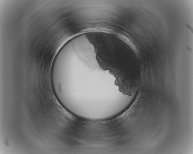 X0000095551228200801111446