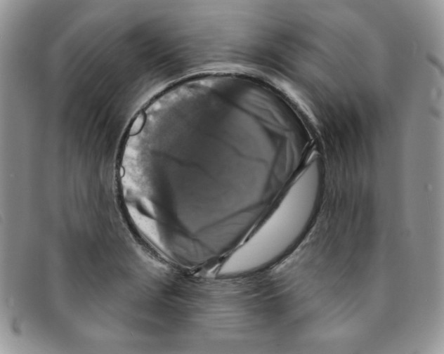 X0000095551229200801111446