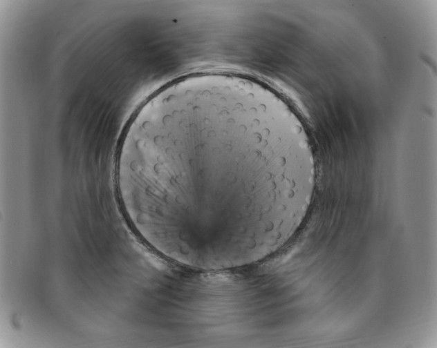 X0000095551231200801111446