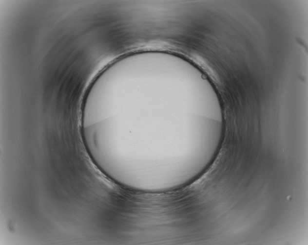 X0000095551232200801111446