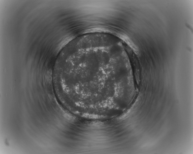 X0000095551233200801111446