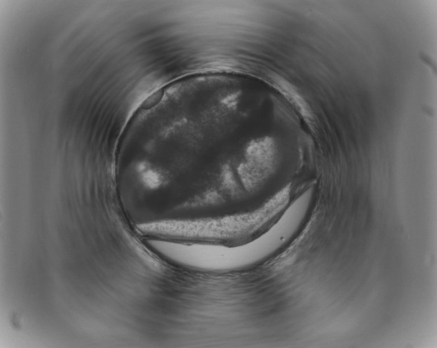 X0000095551234200801111446