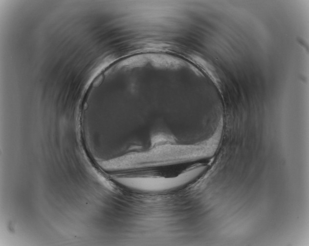 X0000095551235200801111446