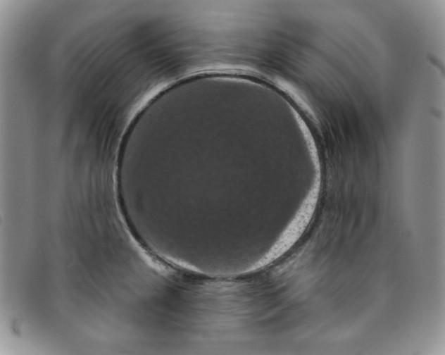 X0000095551237200801111446