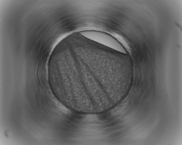 X0000095551238200801111446