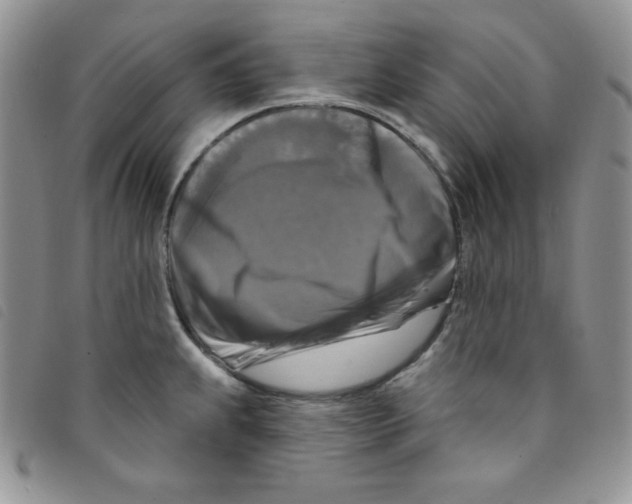 X0000095551239200801111446