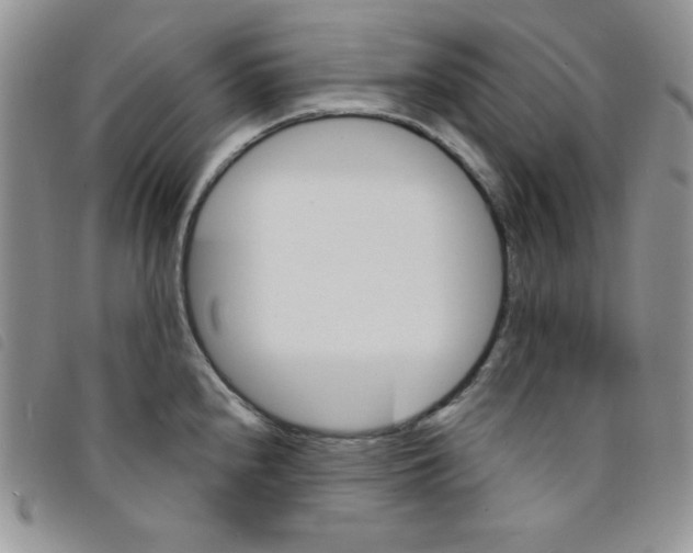 X0000095551240200801111446