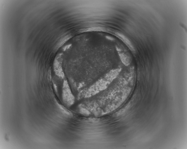 X0000095551241200801111446