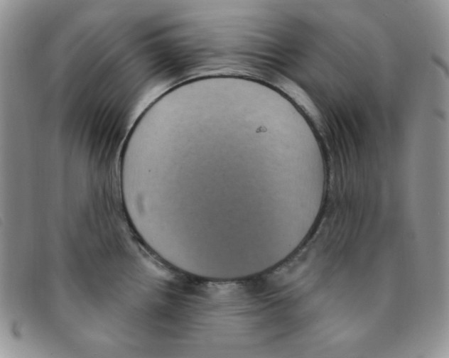 X0000095551242200801111446