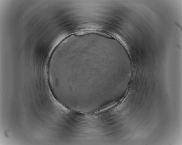 X0000095551243200801111447