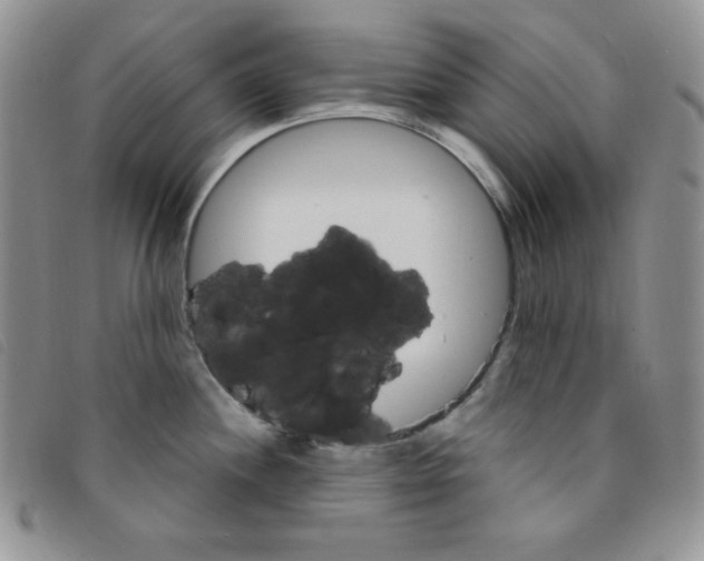 X0000095551244200801111447