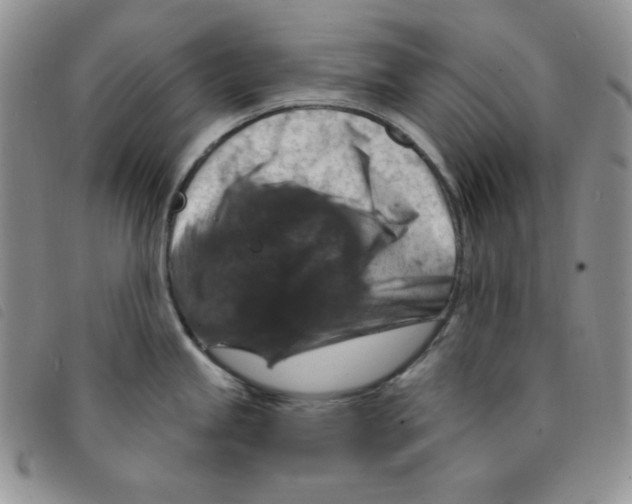 X0000095551245200801111447